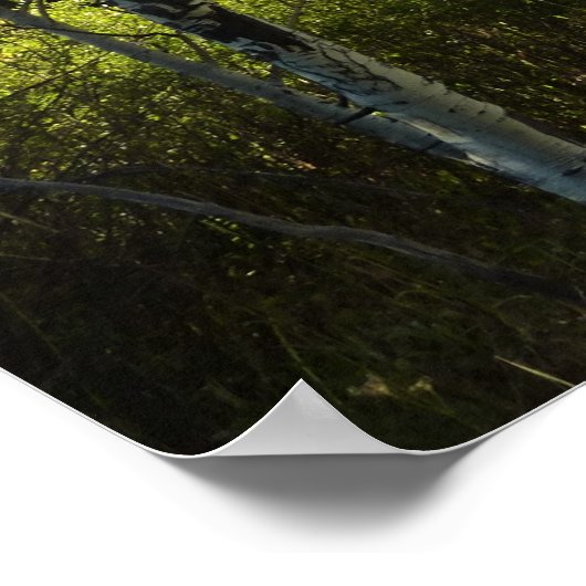 Cottonwald am Luganersee Poster (Ecke)