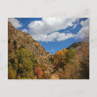 Cottonwood Canyon Landschaftlich Byway Herbst in U Postkarte
