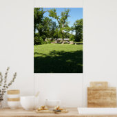 Cottonwood Falls Kansas Poster (Küche)