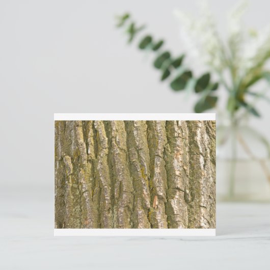 Cottonwood Tree Bark Texture Postkarte (Stehend Vorderseite)