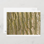 Cottonwood Tree Bark Texture Postkarte (Vorne/Hinten)
