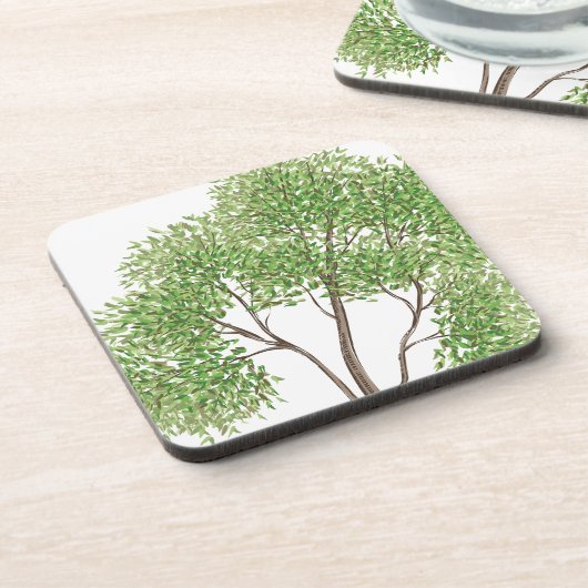 Cottonwood Tree Getränkeuntersetzer (Linke Seite)