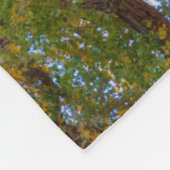 Cottonwood Tree | Hauptstadt Reef National Park, U Fleecedecke (Ecke)