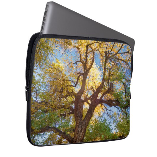 Cottonwood Tree | Hauptstadt Reef National Park, U Laptopschutzhülle (Vorne Rechts)