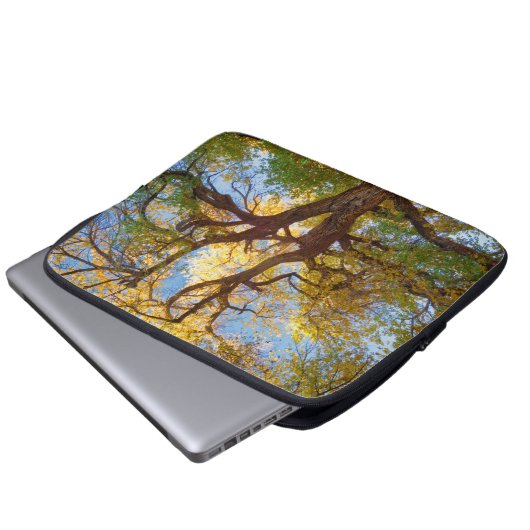 Cottonwood Tree | Hauptstadt Reef National Park, U Laptopschutzhülle (Vorne Knopf)