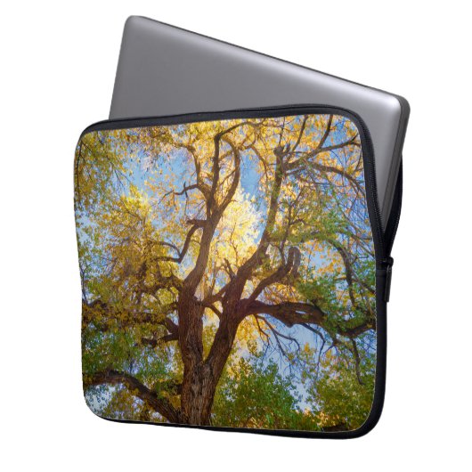 Cottonwood Tree | Hauptstadt Reef National Park, U Laptopschutzhülle (Vorderseite Links)