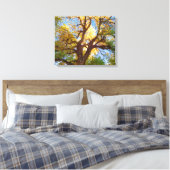 Cottonwood Tree | Hauptstadt Reef National Park, U Leinwanddruck (Insitu (Schlafzimmer))