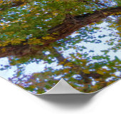 Cottonwood Tree | Hauptstadt Reef National Park, U Poster (Ecke)
