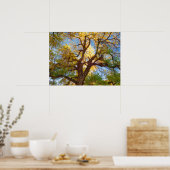 Cottonwood Tree | Hauptstadt Reef National Park, U Poster (Küche)