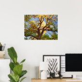 Cottonwood Tree | Hauptstadt Reef National Park, U Poster (Heimbüro)