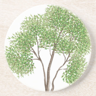 Cottonwood Tree Untersetzer