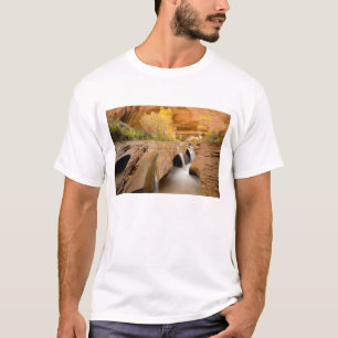 Cottonwoods im Herbst, Coyote Gulch, Glen T-Shirt