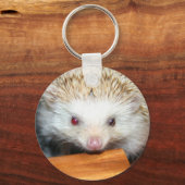 Cotty Igel Schlüsselanhänger (Vorderseite)