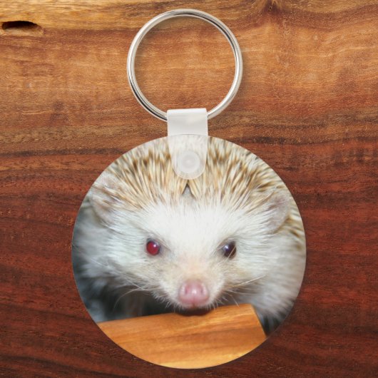 Cotty Igel Schlüsselanhänger (Vorderseite)