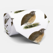 Coturnix-Pharao-Wachteln Krawatte (Gerollt)