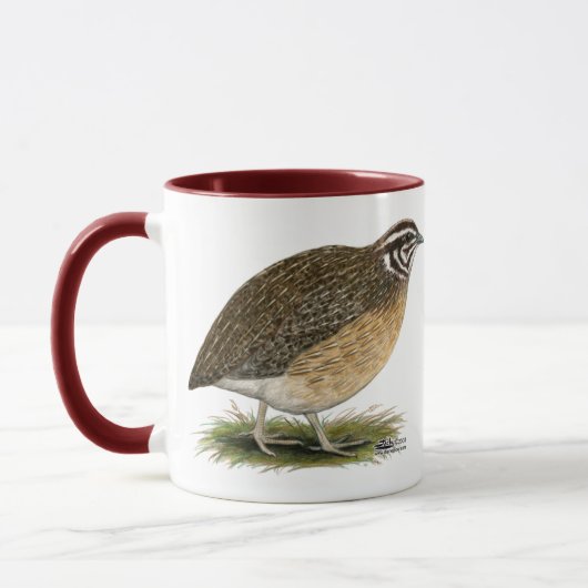 Coturnix-Pharao-Wachteln Tasse (Links)