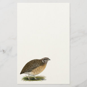 Coturnix Pharaoh Quail Briefpapier