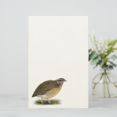 Coturnix Pharaoh Quail Briefpapier (Stehend Vorderseite)