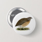 Coturnix Pharaoh Quail Button (Vorne & Hinten)
