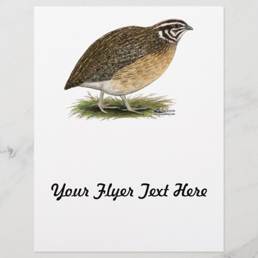 Coturnix Pharaoh Quail Flyer (Vorne)