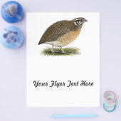 Coturnix Pharaoh Quail Flyer (Einzeln)