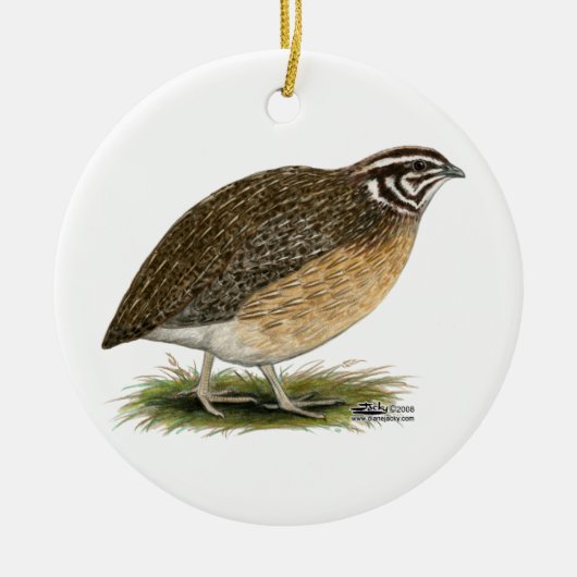Coturnix Pharaoh Quail Keramikornament (Vorne)