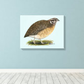 Coturnix Pharaoh Quail Leinwanddruck (Insitu (Holzboden))