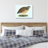 Coturnix Pharaoh Quail Leinwanddruck (Insitu (Schlafzimmer))