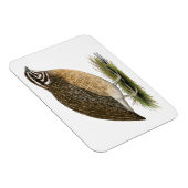 Coturnix Pharaoh Quail Magnet (Rechte Seite)
