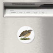 Coturnix Pharaoh Quail Magnet (In Situ (Geschirrspüler))