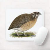 Coturnix Pharaoh Quail Mousepad (Mit Mouse)