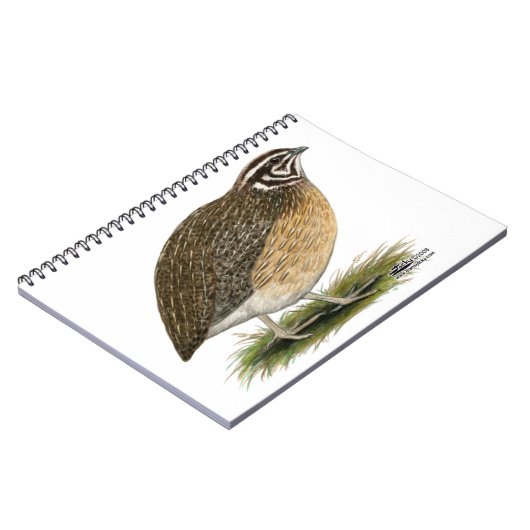 Coturnix Pharaoh Quail Notizblock (Linke Seite)