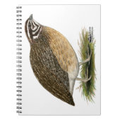 Coturnix Pharaoh Quail Notizblock (Vorderseite)