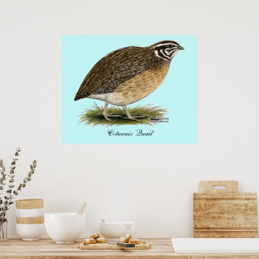 Coturnix Pharaoh Quail Poster (Küche)