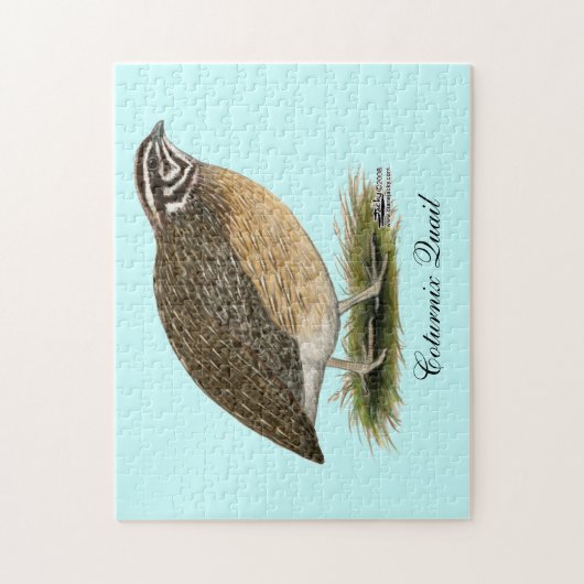 Coturnix Pharaoh Quail Puzzle (Vertikal)