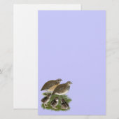 Coturnix Quail Briefpapier (Vorne/Hinten)