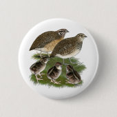 Coturnix Quail Button (Vorderseite)