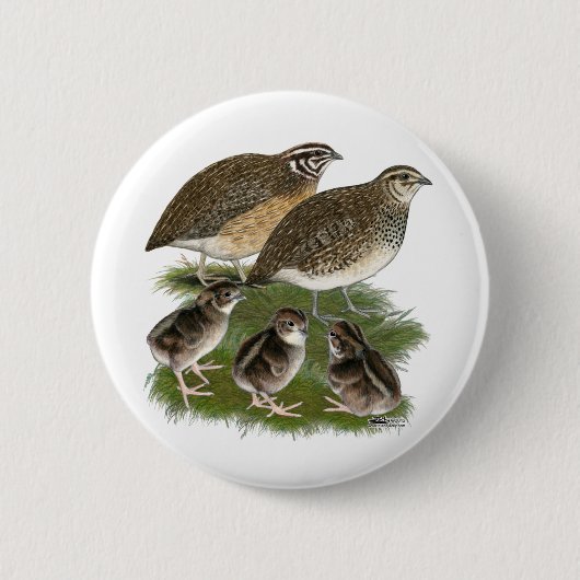 Coturnix Quail Button (Vorderseite)