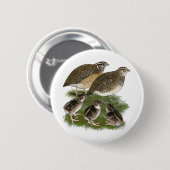 Coturnix Quail Button (Vorne & Hinten)