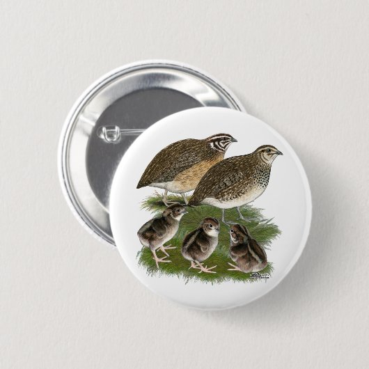 Coturnix Quail Button (Vorne & Hinten)