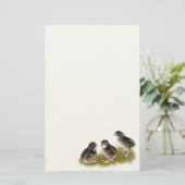Coturnix Quail Chicks Briefpapier (Stehend Vorderseite)