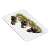 Coturnix Quail Chicks Magnet (Rechte Seite)