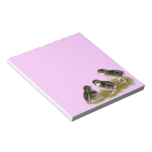 Coturnix Quail Chicks Notizblock (angewinkelt)