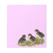 Coturnix Quail Chicks Notizblock (Vorderseite)