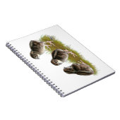 Coturnix Quail Chicks Notizblock (Rechte Seite)