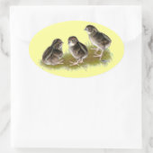 Coturnix Quail Chicks Ovaler Aufkleber (Tasche)