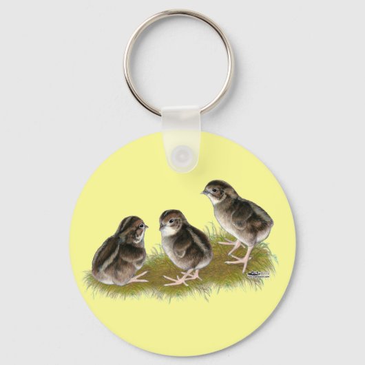 Coturnix Quail Chicks Schlüsselanhänger (Vorderseite)