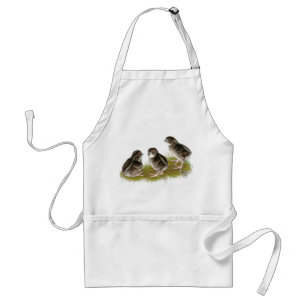 Coturnix Quail Chicks Schürze