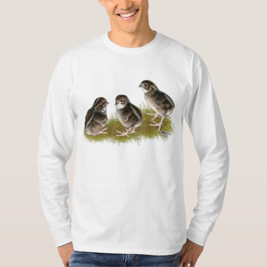 Coturnix Quail Chicks T-Shirt (Vorderseite)