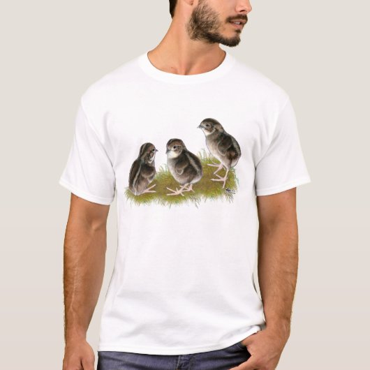 Coturnix Quail Chicks T-Shirt (Vorderseite)